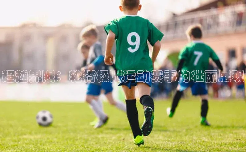 威廉体育挪威主权基金超越界限：轮椅极限运动赛事的壮丽展现