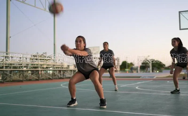 williamhill威廉希尔官网百度智能门户大型运动会突发事件应对策略与预案编制指南