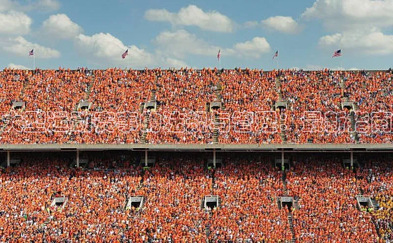 威廉希尔体育百度信誉大型运动赛事的法规与管理：最新指南