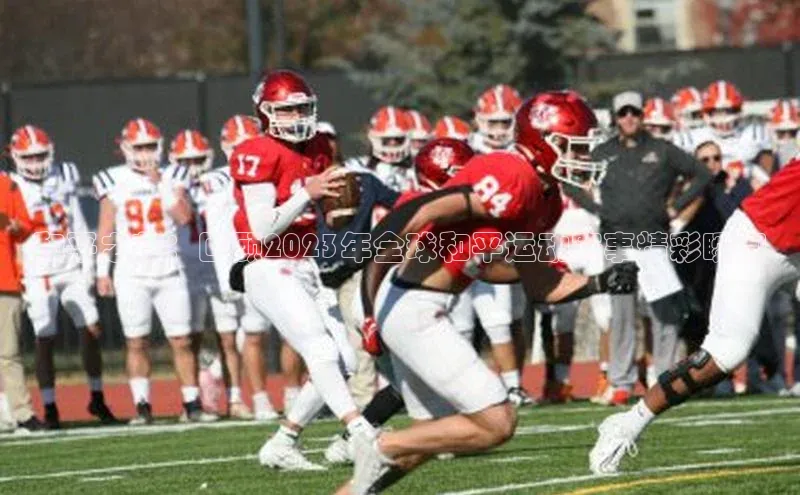 威廉希尔体育官网入口58同城和平之花：回顾2023年全球和平运动赛事精彩瞬间