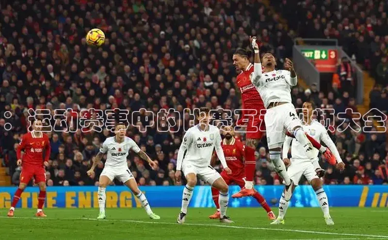 ：运动赛事中的比赛互动视频大全