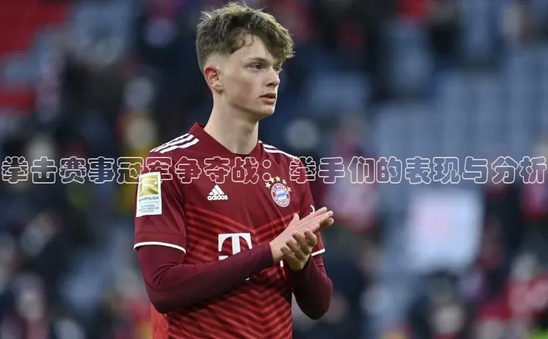 拳击赛事冠军争夺战：拳手们的表现与分析