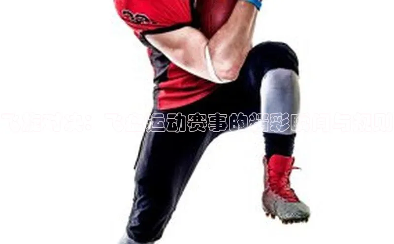 飞旋对决：飞盘运动赛事的精彩瞬间与规则