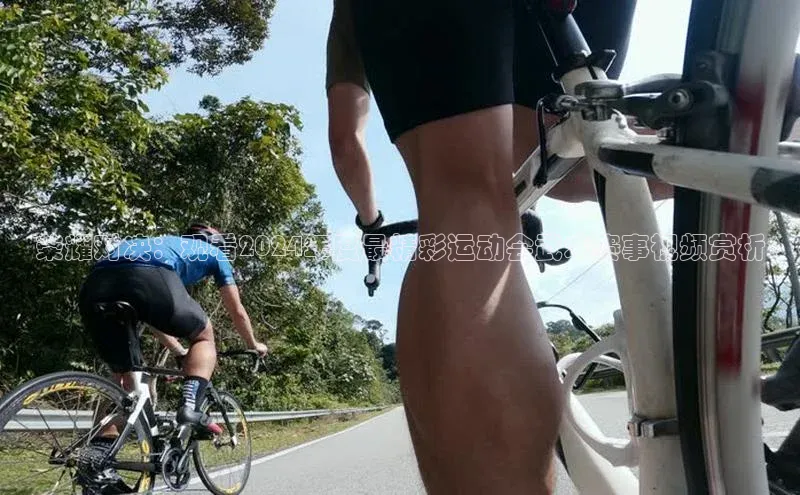 荣耀对决：观看2024年度最精彩运动会武术赛事视频赏析