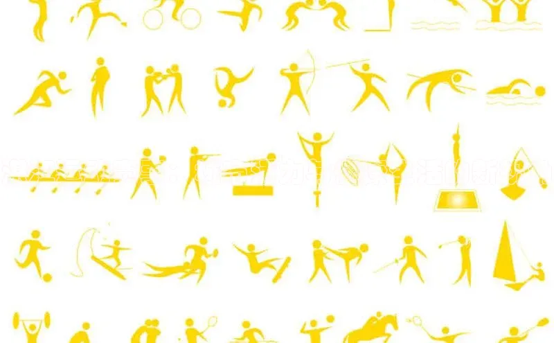 湛江运动赛事：城市活力与健康生活的新视角