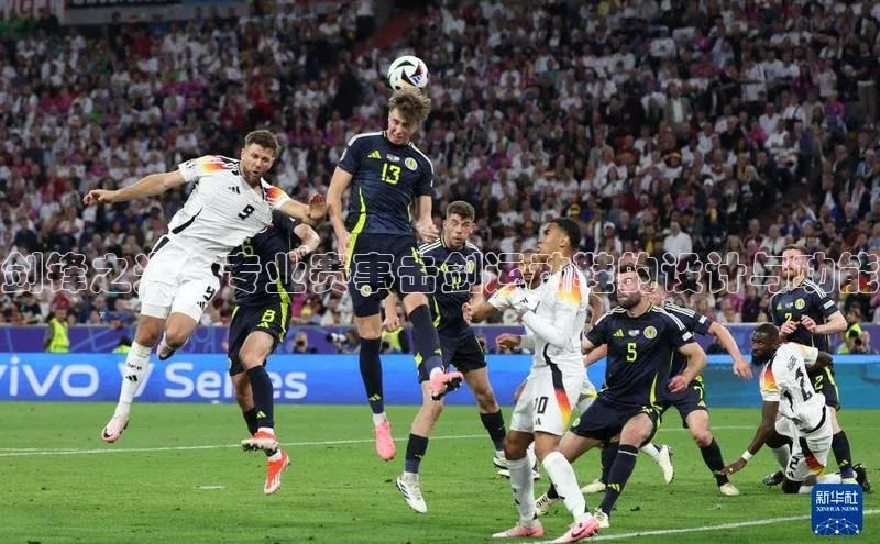 剑锋之光：专业赛事击剑运动鞋的设计与功能