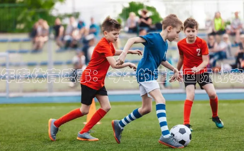 年度体育盛事：今年的重大国际比赛