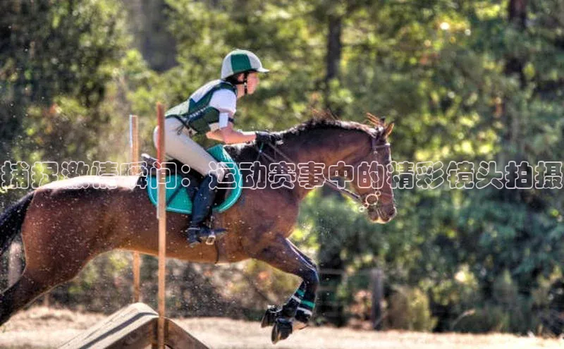 捕捉激情瞬间：运动赛事中的精彩镜头拍摄