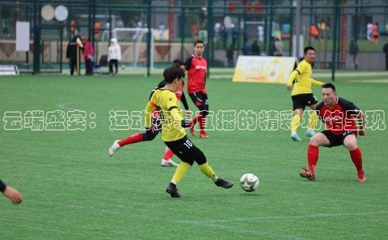 云端盛宴：运动赛事直播的精彩场馆呈现