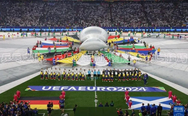 乒乓之道：乒乓球运动赛事的魅力与技巧