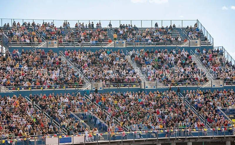 每日活力竞赛：打造健康生活的小方法和大挑战