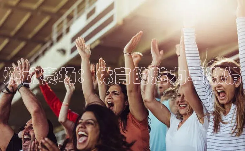 燃动赛场：体育的魅力与激情