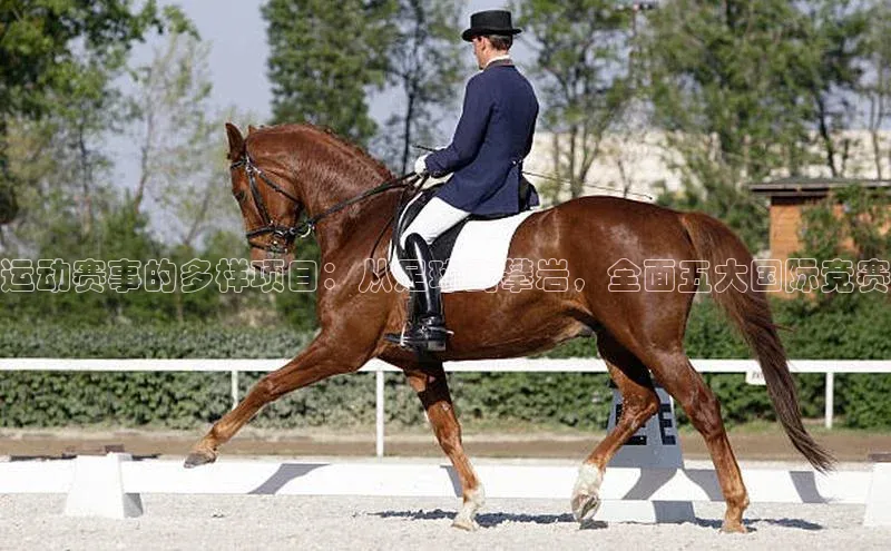 英国威廉希尔公司官网